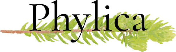 (logo Phylica)